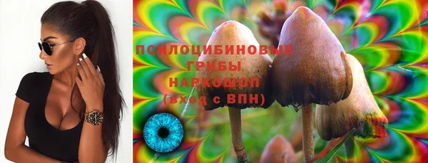 мяу мяу кристалл Гусь-Хрустальный