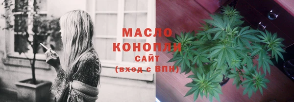 скорость Гусев