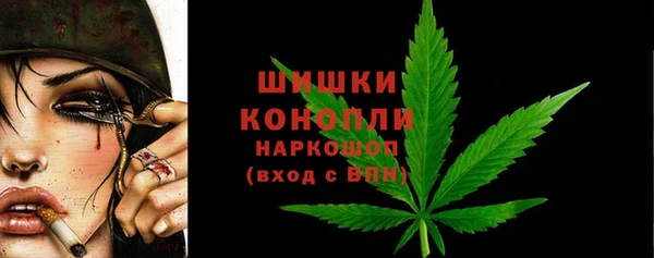 мяу мяу кристалл Гусь-Хрустальный