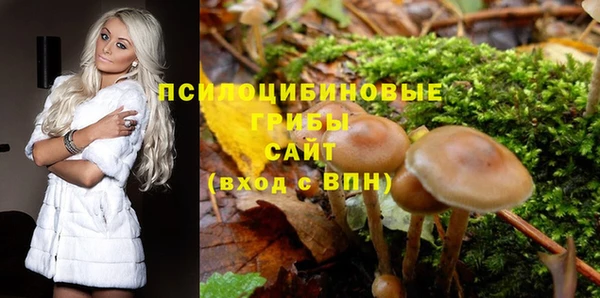 экстази Гусиноозёрск