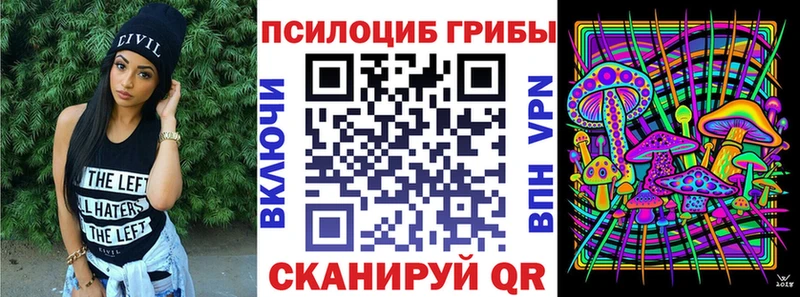 Псилоцибиновые грибы мицелий блэк спрут ONION Жуков