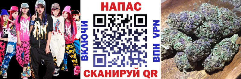 где купить наркоту  Жуков  Бошки марихуана OG Kush 